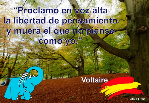 Una Sabia Reflexión de Voltaire sobre La Libertad, en La Frase del Día del Centro de lavado de coches Elefante Azul de Avilés